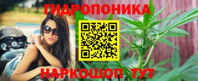 mdpv Владивосток