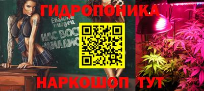 mdpv Владивосток