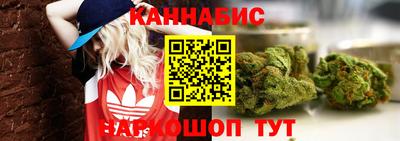 mdpv Владивосток