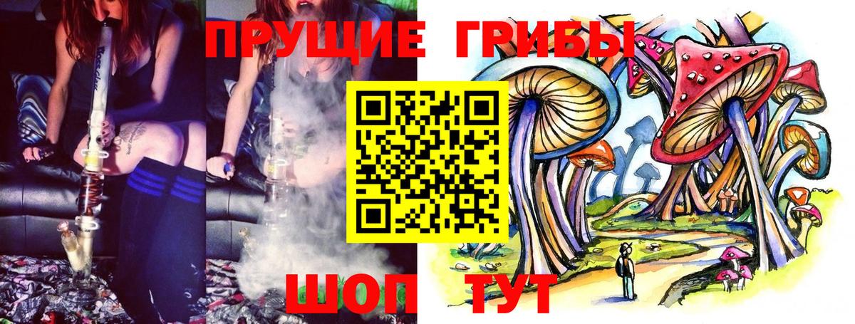 Дубна  Галлюциногенные грибы MAGIC MUSHROOMS  Вход с VPN  Псилоцибиновые грибы мицелий 
