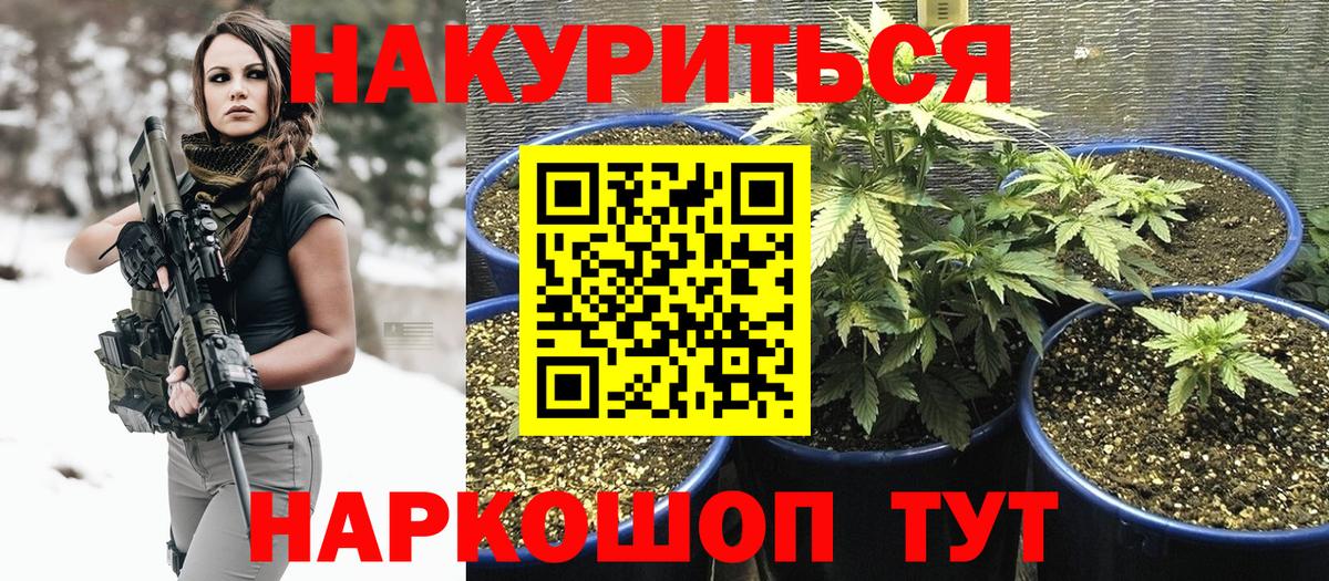 Каннабис Bruce Banner Дубна